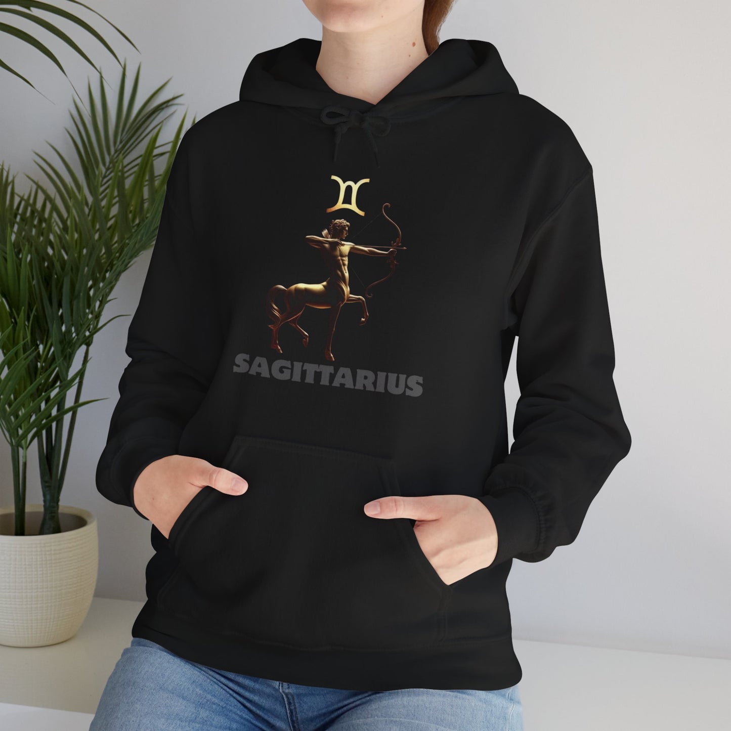 Sagittarius Zodiac Hoodie